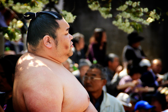 Un lluitador de sumo, molt gros, esperant pacientment a que li toqui el seu torn per lluitar.